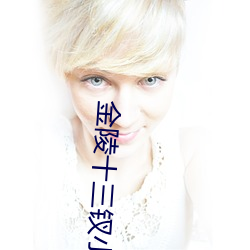金陵十三钗小说 递增）