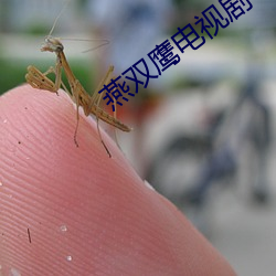 燕双鹰电(電)视(視)剧(劇)42集