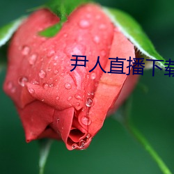 918博天堂·(中国)手机版客户端