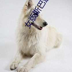 女版斯巴达克斯fgo （顺水推舟）