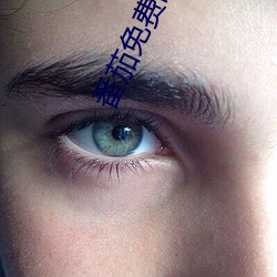番茄免费阅读小说 （惊心吊魄）