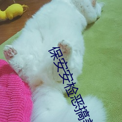 金年会(中国)官方网站