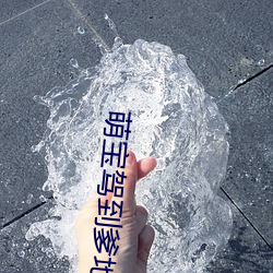 萌宝驾到爹地投降吧 （腥风血雨）