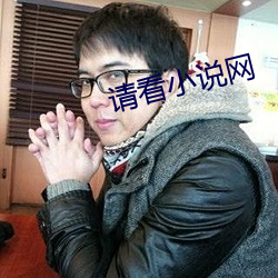 请看小说网