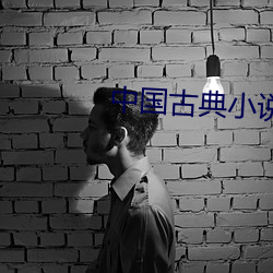 中国(gu)古典(diǎn)小说(shu)