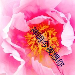 神明今夜想你