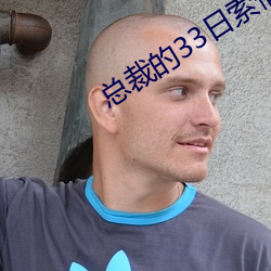 總裁的33日索情