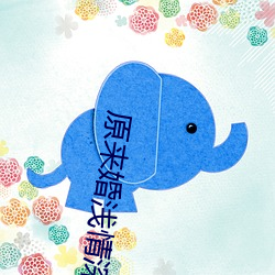 原(yuán)来婚浅(qiǎn)情(qíng)深