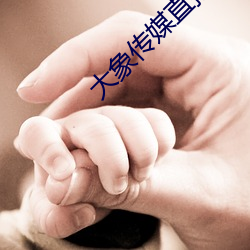 大象傳媒直播