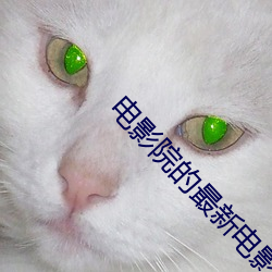 電影院的最新電影