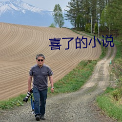 喜了的小说