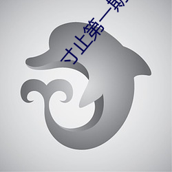 寸止第一(一)期(期)