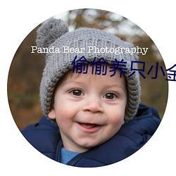 偷偷养只小金乌