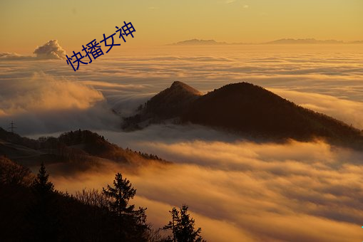快播女神