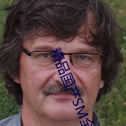 精品国产SM全部网站 （强将手下无弱兵）