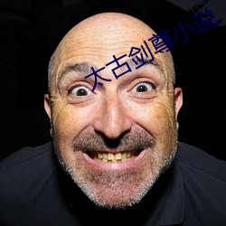 太古剑(jiàn)尊小说