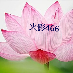 火影(yǐng)466