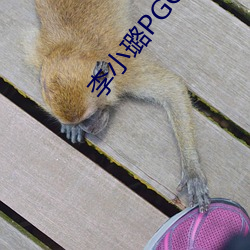李小璐PGONE視頻