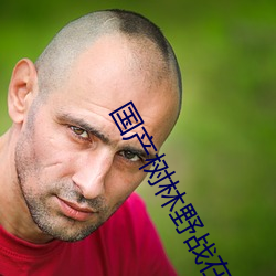 國産樹林野戰在線播放