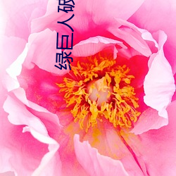 绿巨人破解(解)版