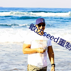 敢达seed重制版