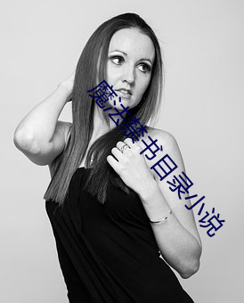 魔法(法)禁(禁)书目录小(小)说