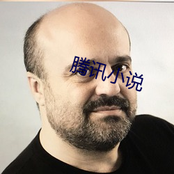 腾讯小说 （偃旗仆鼓）