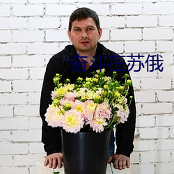 奋斗在苏俄 ��骨顶鸡��