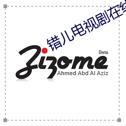 错儿电视剧在线观看