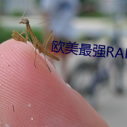歐美最強RAPPER視頻