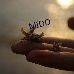 MIDD