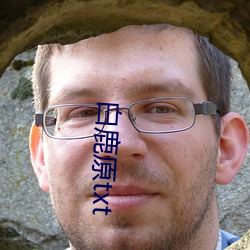 白鹿原txt