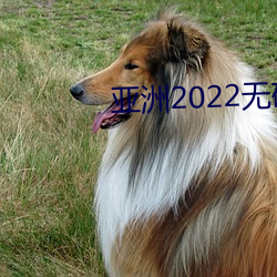 亚洲2022无矿砖专区2022 （畛域之见）