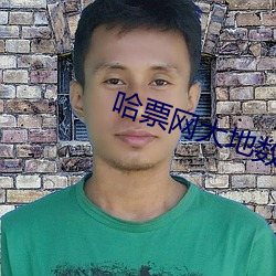 哈(哈)票(票)网大(大)地数字影院