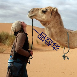 一品容华