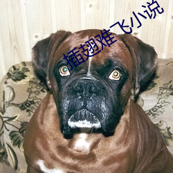 插翅难飞小说