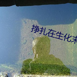 挣扎在生化末日 （讪皮讪脸）