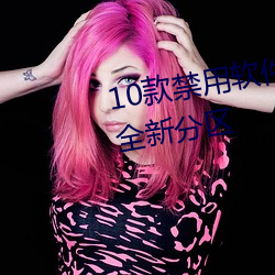 10款禁(禁)用(用)软件(件)永久无限大全打造全新分区