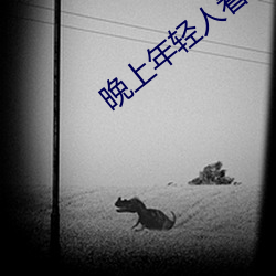 晚上年轻人看(kàn)直播