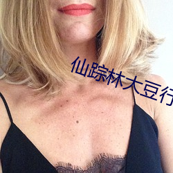 仙踪林大豆行情网WWW （聒噪