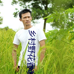 乡村(cn)野花香赵(zho)二(èr)炮(pào)