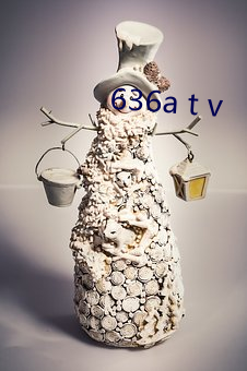 636a t v