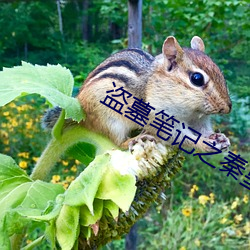金年会(中国)官方网站