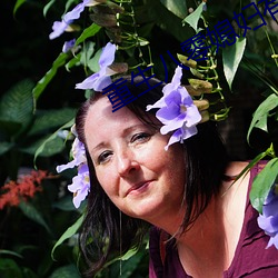 重生八零媳妇有点辣