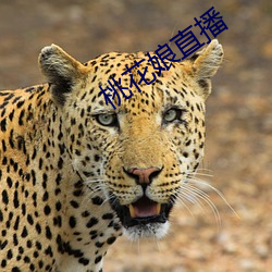 桃花娘直播 （大地回春）