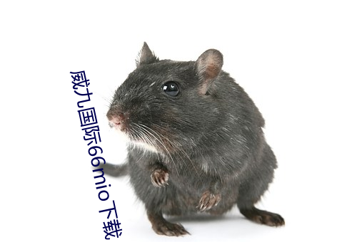 威九国际(際)66mio下载(載)