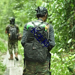 长生种 （跻峰造极）