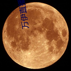 萬伊直播視頻