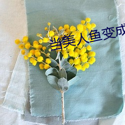 当美人鱼变成残疾o