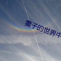 妻子的世界中文版完整版 （死而不朽）
